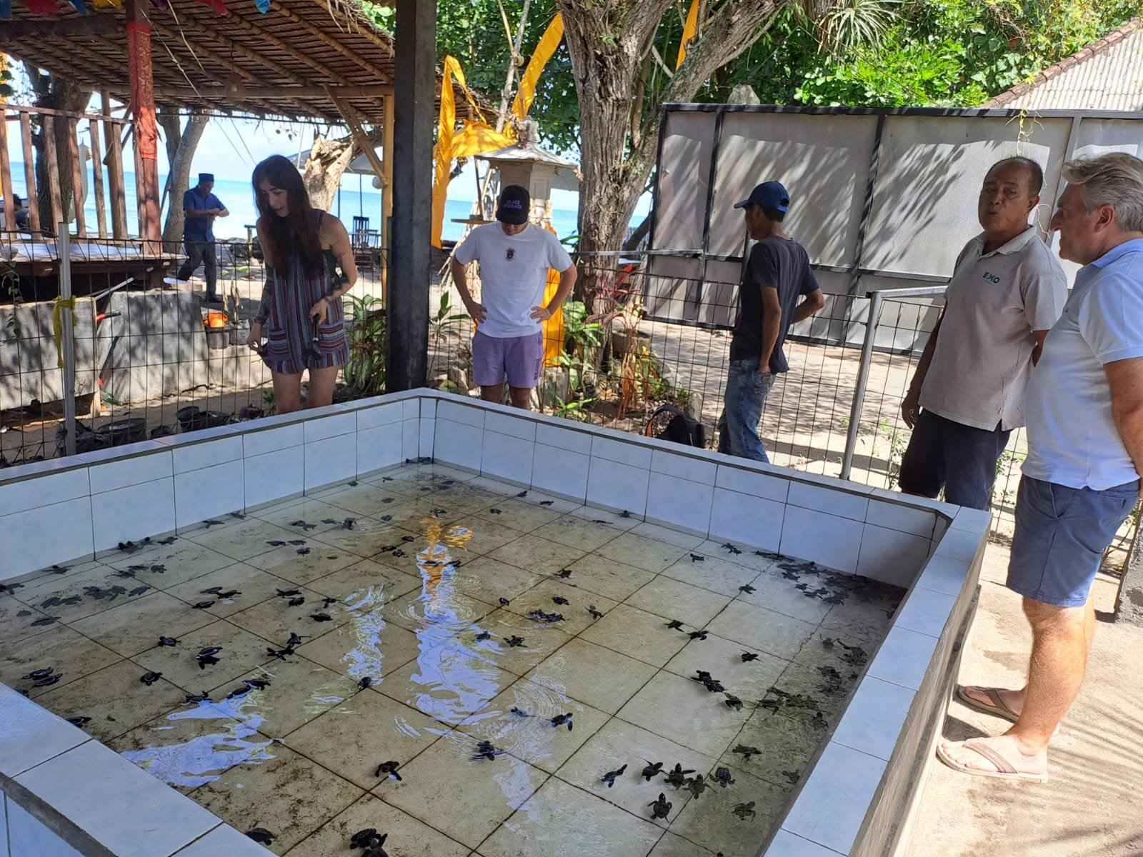Perancak Konsisten Lestarikan Penyu